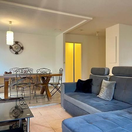 L'Appartement Michelet - Parking Prive Et Gratuit - 2Km Cite Medievale Carcassone Kültér fotó